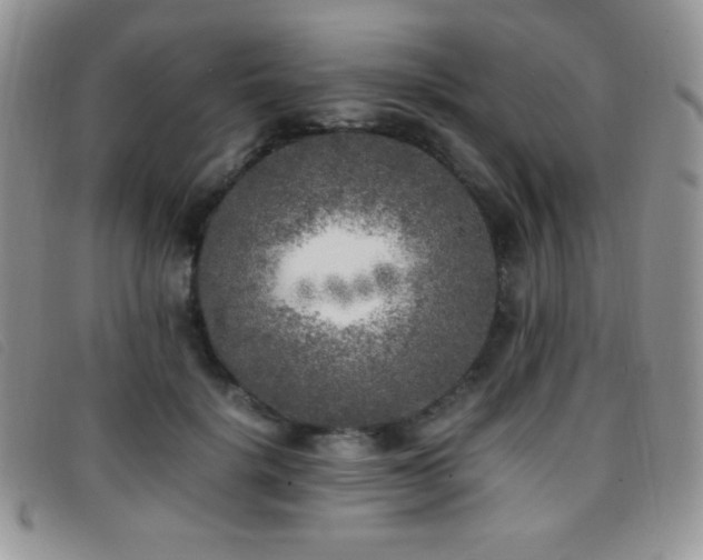 X0000096670652200802051223