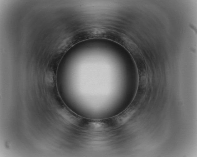 X0000096670654200802051223