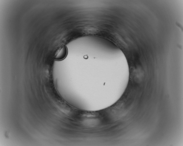 X0000096670655200802051224