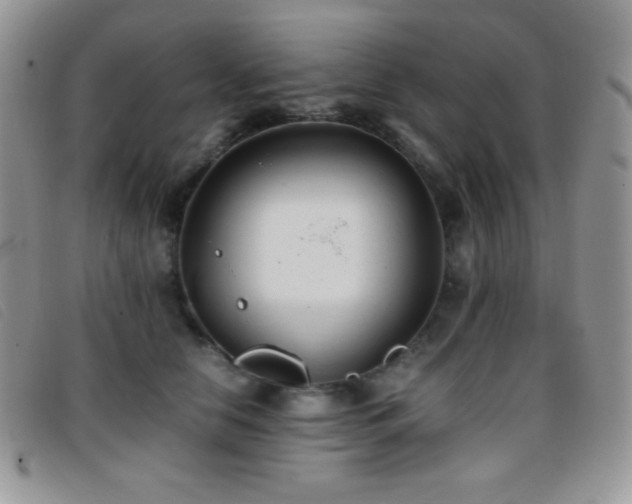 X0000096670658200802051224