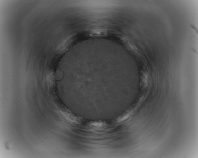 X0000096670659200802051224