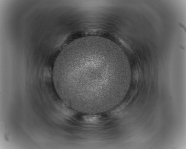 X0000096670661200802051224