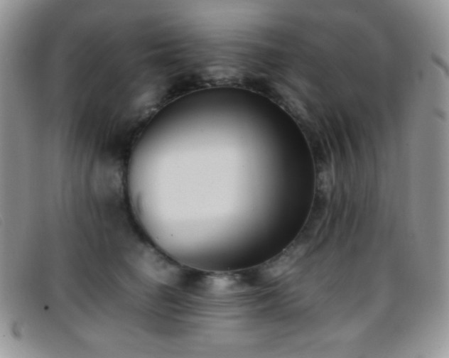 X0000096670662200802051224