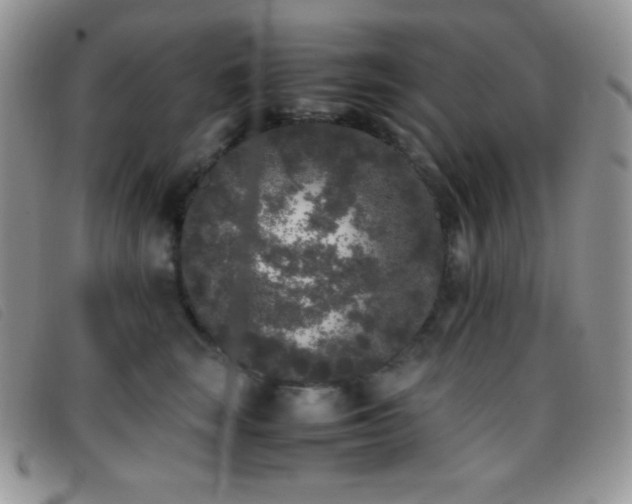 X0000096670663200802051224