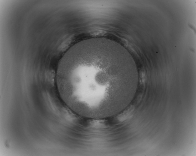 X0000096670664200802051224