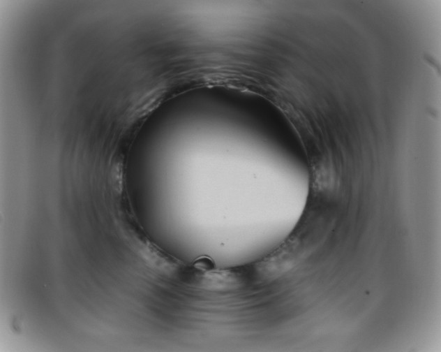 X0000096670666200802051224