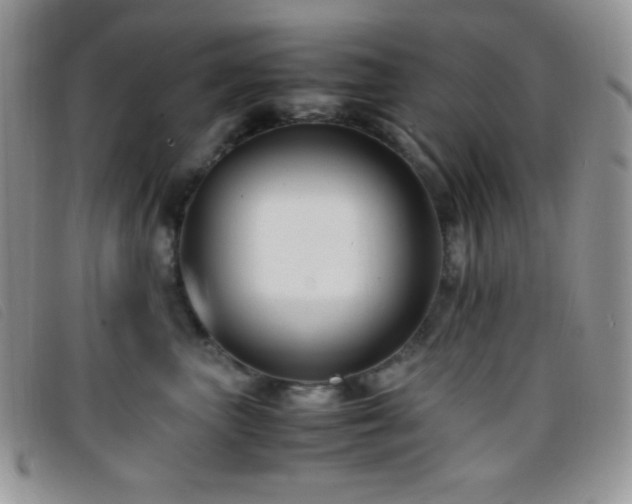 X0000096670667200802051224