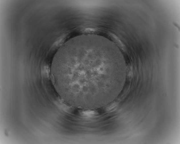 X0000096670669200802051224
