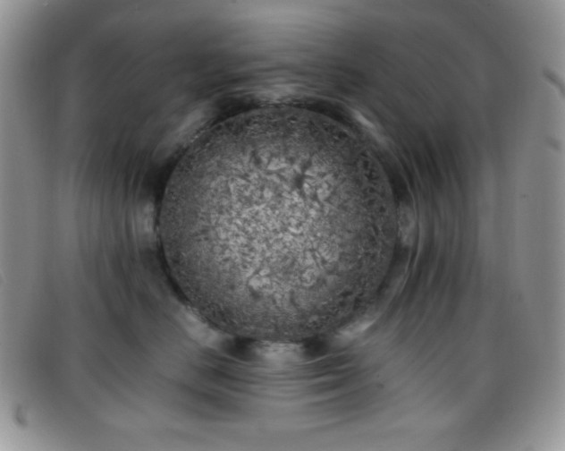 X0000096670670200802051224