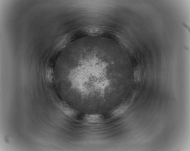 X0000096670671200802051224