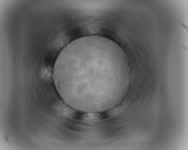 X0000096670672200802051224