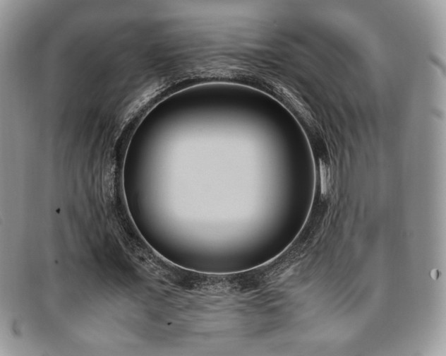 X0000096670675200802051223