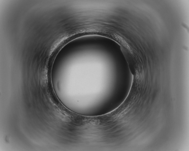 X0000096670676200802051223