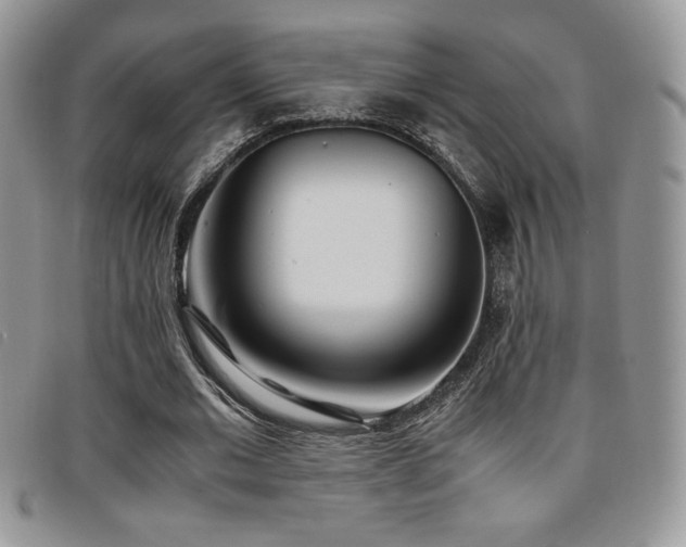 X0000096670677200802051223