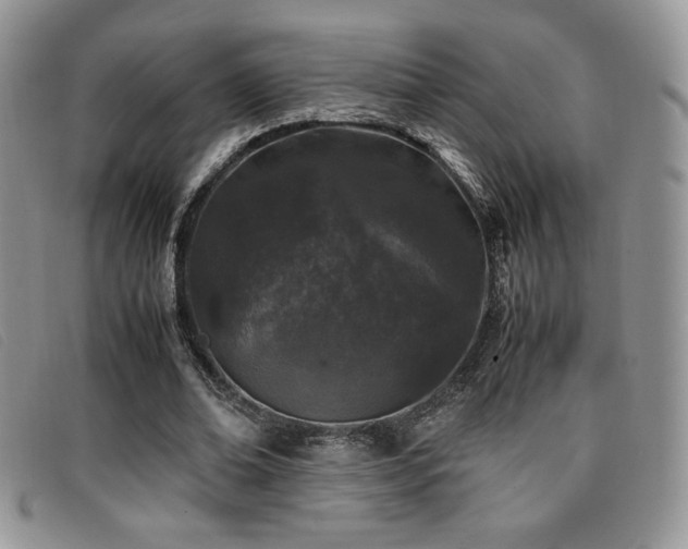 X0000096670678200802051223