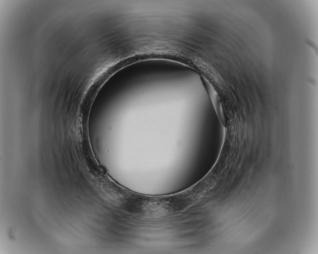 X0000096670680200802051223