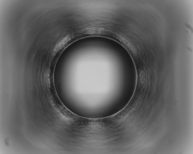 X0000096670682200802051223