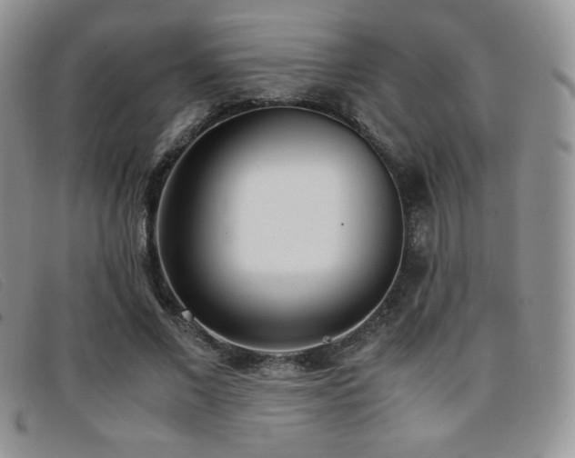 X0000096670685200802051223