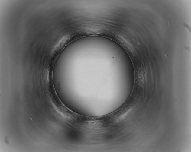 X0000096670686200802051223
