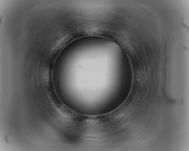 X0000096670690200802051223