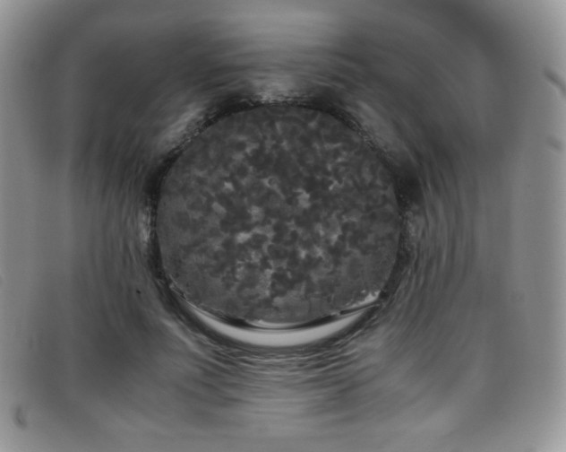X0000096670691200802051223