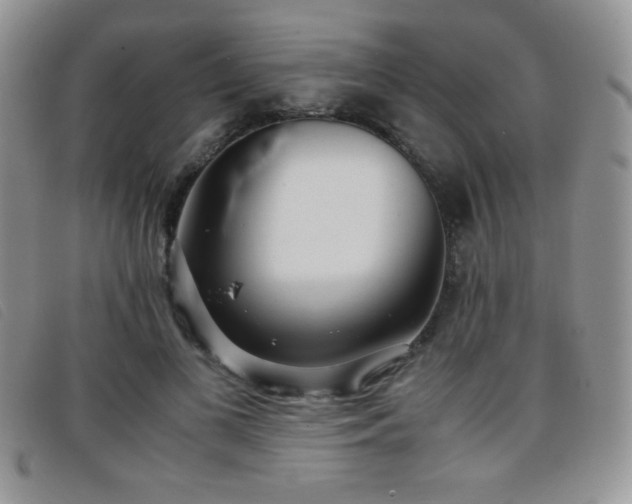 X0000096670693200802051223