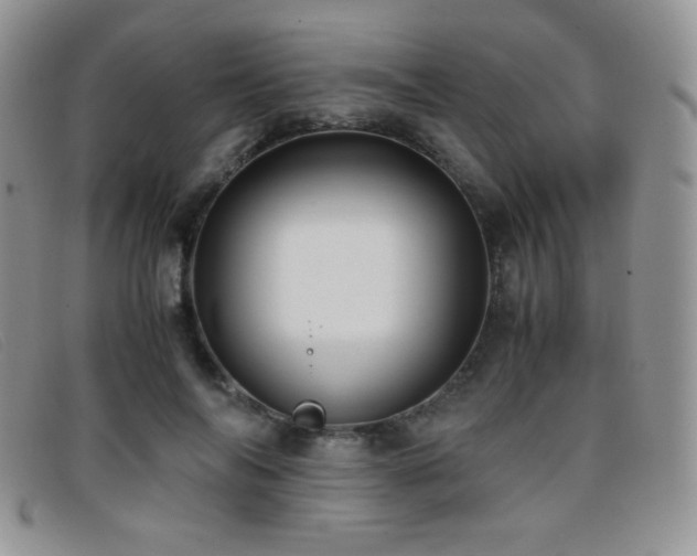 X0000096670694200802051223