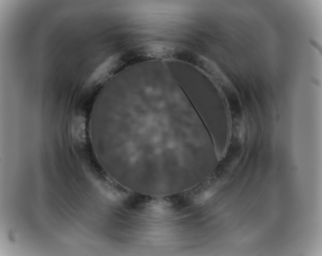X0000096670696200802051223