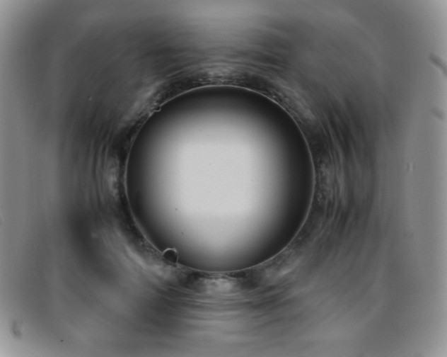 X0000096670698200802051223