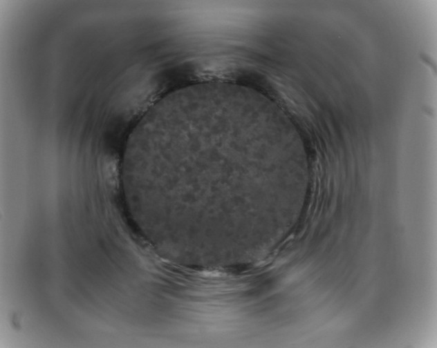 X0000096670699200802051223