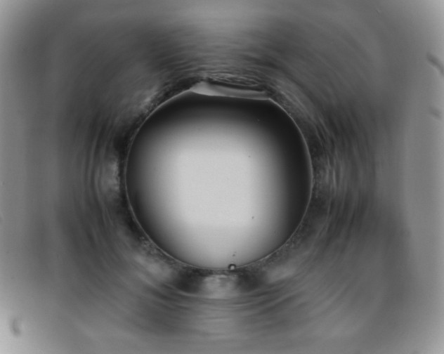 X0000096670700200802051223