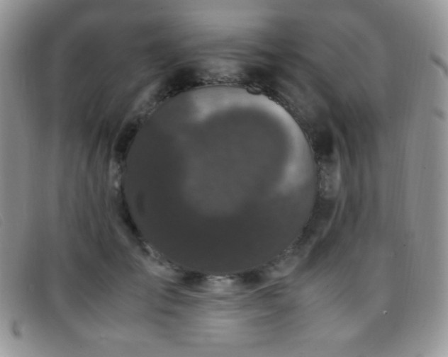 X0000096670701200802051223