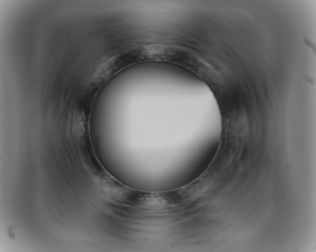 X0000096670702200802051223