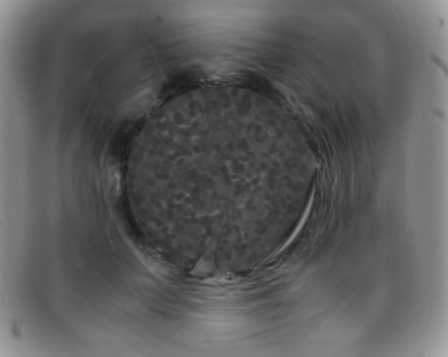 X0000096670703200802051223
