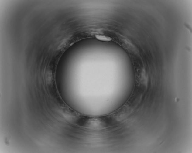 X0000096670704200802051223