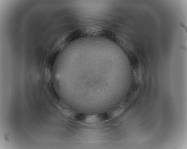 X0000096670705200802051223