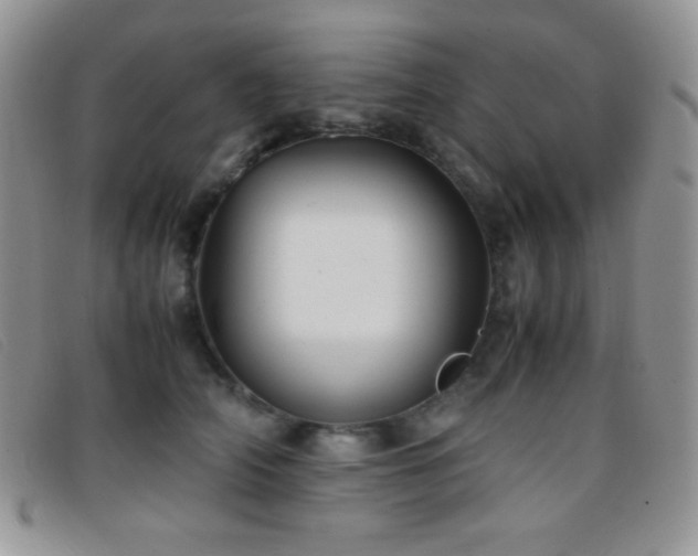 X0000096670706200802051223