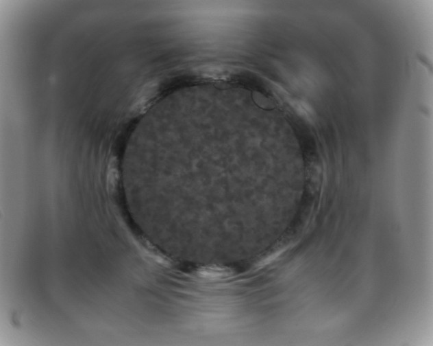 X0000096670707200802051223