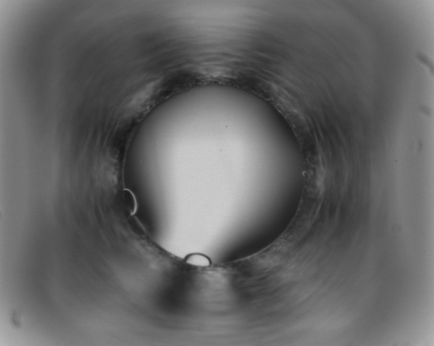 X0000096670710200802051223