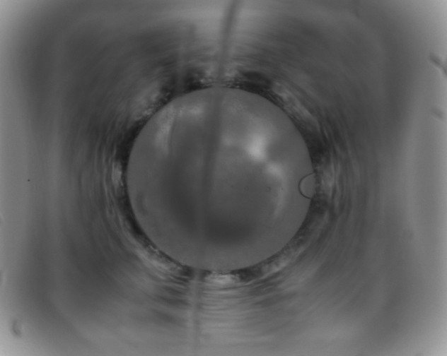 X0000096670711200802051223