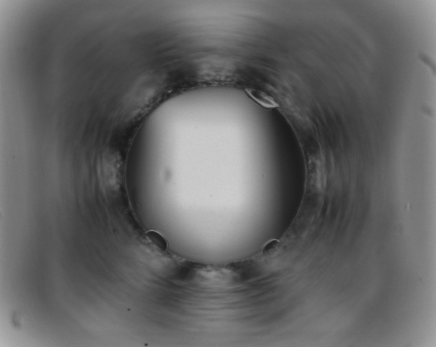 X0000096670712200802051223