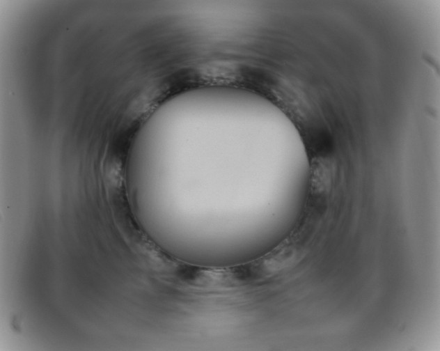 X0000096670713200802051223