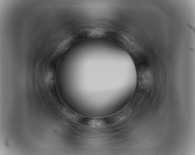 X0000096670714200802051223