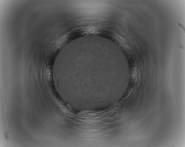 X0000096670715200802051223