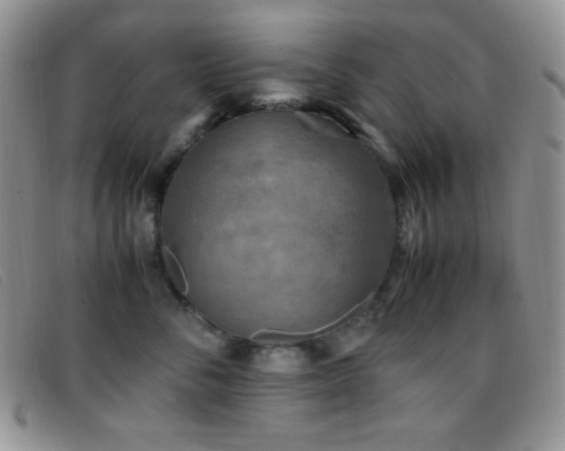X0000096670716200802051222