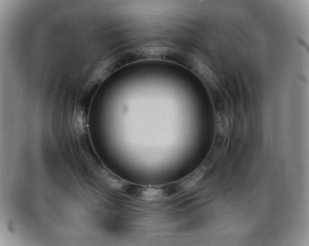 X0000096670718200802051222