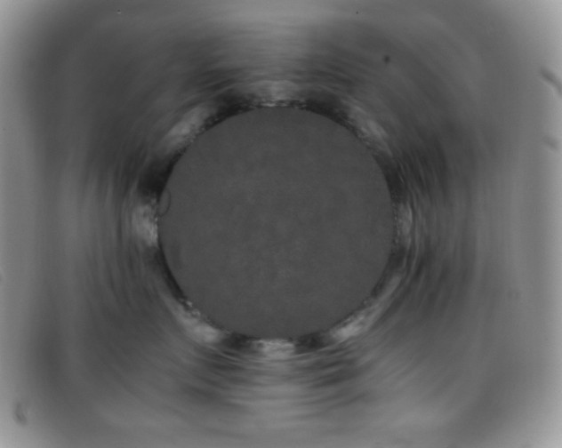 X0000096670719200802051222