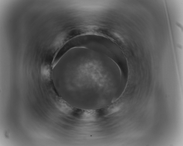 X0000096670720200802051222