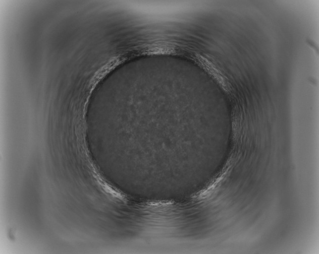 X0000096670721200802051222
