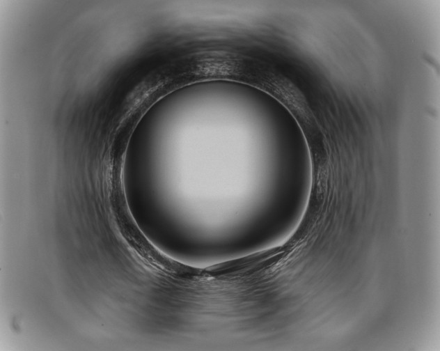 X0000096670722200802051222